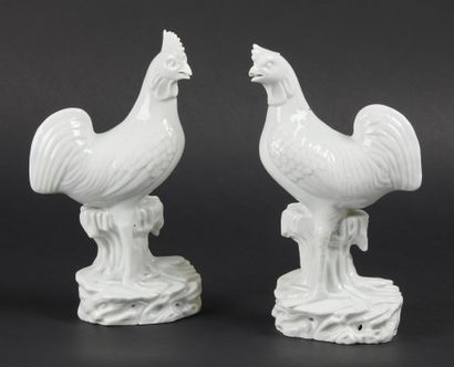 CHINA


Pair of Chinese white roosters standing...