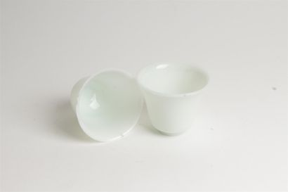 CHINA - 19th century


Two opaque white glass...