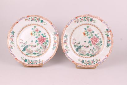 CHINA


Pair of plates with contoured edge...
