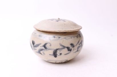 VIETNAM


Ceramic covered pot with blue monochrome...