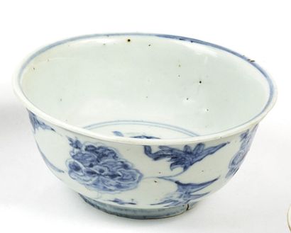 CHINA


Porcelain bowl decorated in blue...