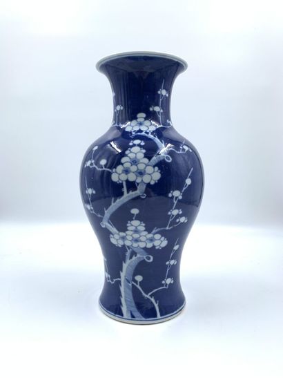 null CHINE

Vase balustre en porcelaine à décor de branches de cerisier en fleurs...