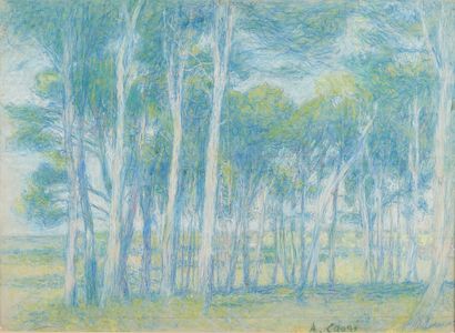 null Achille LAUGÉ (1861 - 1944)

The pines in Belvèze du rozes 

Pastel, signed...