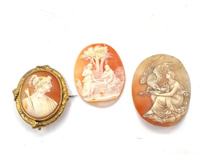 Metal brooch decorated with a shell cameo...