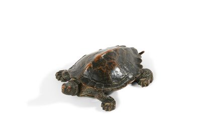 null Antoine Louis BARYE (1796-1875)

Turtle 

Proof in bronze with brown patina....