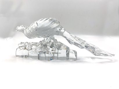 null BACCARAT

Peacock

Proof in molded crystal, signed on the base. 

Height. 19,5...