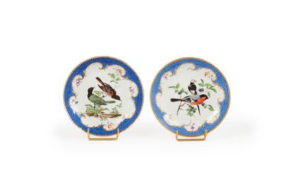 null Meissen 

Two porcelain saucers with polychrome decoration in the center of...