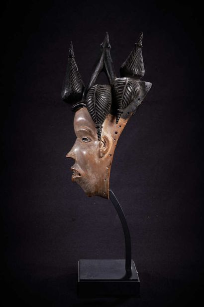 null Masque Igbo (Nigeria)

Masque classique à coiffe complexe figurant un esprit...
