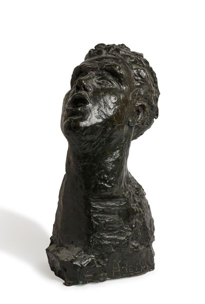 null Édouard ADET (1887 - 1918)
Large head, mouth open 
Proof in bronze with brown...
