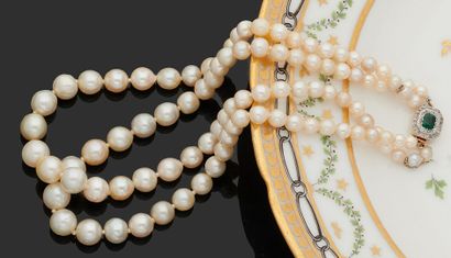 null NECKLACE two rows of pearls of culture and fine pearls in fall, the clasp in...