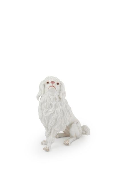 null Meissen
Statuette of a sitting poodle in porcelain with polychrome decoration.
Marked...