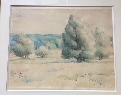null Paul Alex DESCHMACKER (1889-1973)

Landscape 

Watercolor on paper, signed lower...