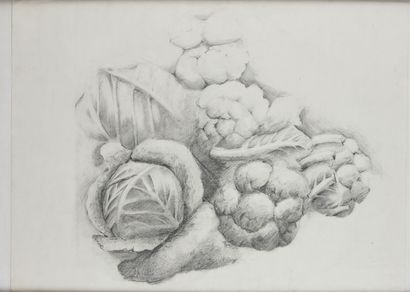 null Modern School 

Still life with cabbage 

Charcoal and pencil on paper 

48.5...