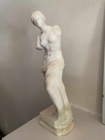 null Statue en marbre représentant la Vénus de Milo. 

Reproduction des années 1950....