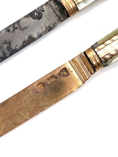 null TWO KNIVES with gold and steel blades, the handles in engraved mother-of-pearl...