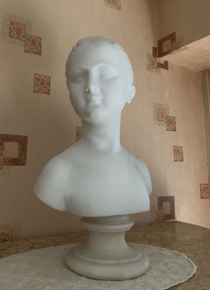 null Jean-Antoine HOUDON (after)
Bust Portrait of Louis Brongniart 
Proof in sculpted...