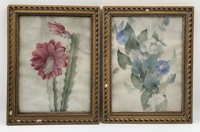 null Camille DE CHANTEREINE (?-1847)
Compositions florales, dans le goût de REDOUTE
Deux...