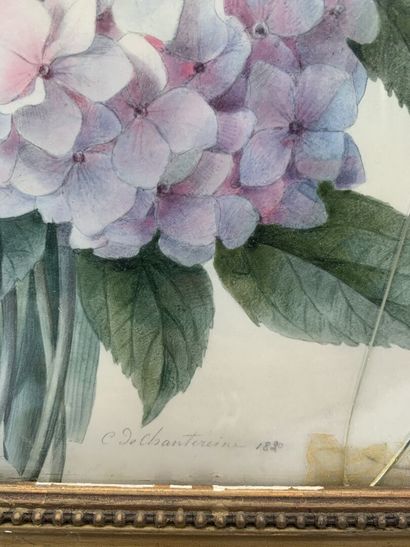 null Camille DE CHANTEREINE (?-1847)
Composition florale, dans le goût de REDOUTE
Aquarelle,...