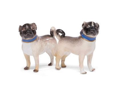 null Meissen
Pair of porcelain pugs with polychrome decoration, wearing a blue collar...