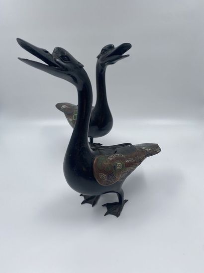null JAPAN
Pair of ducks in patinated bronze, the wings in cloisonné enamel. 
H....