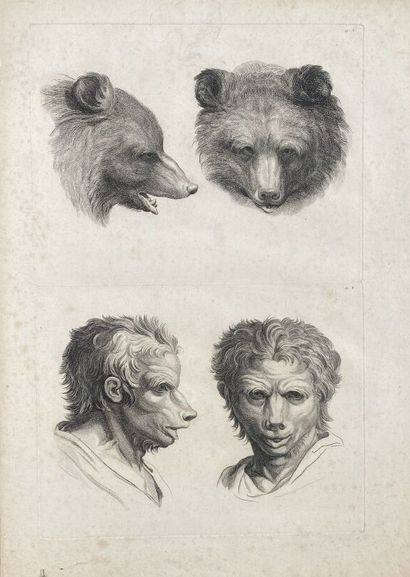 null After Charles LE BRUN 
Heads of Men, Bears and Donkeys
Two black engravings...