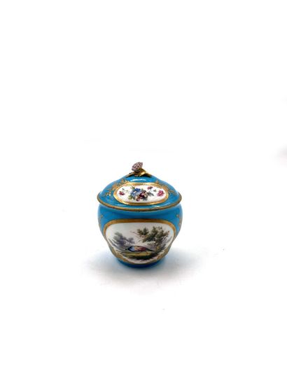 null Sèvres (kind of)
Covered sugar pot with polychrome decoration of birds on a...