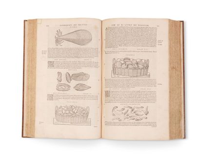 null Pierre André MATTHIOLE. Commentaries on the six books of Ped. Dioscor. Anazarbeen...