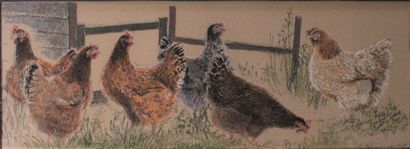 null Jean-Claude COURTAT (1941) 
Poules
Pastel et gouache sur papier brun, signée...