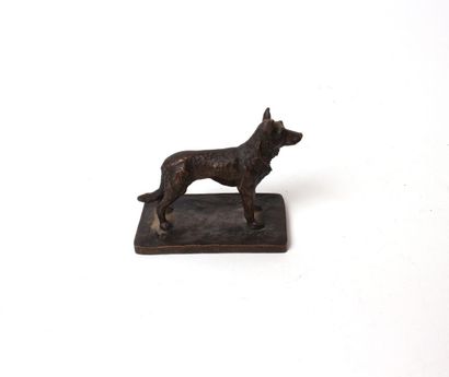 null Thomas CARTIER (1879-1943)
Sitting dog
Gilt bronze proof signed on the terrace,...