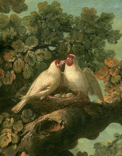 Jean-Jacques BACHELIER (Paris 1724 - 1806) Deux chardonnerets blancs Deux couples...