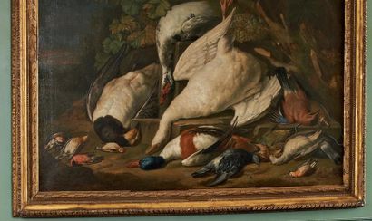 Attribué à Alexandre François DESPORTES (1661 - 1732) Nature morte aux oiseaux et...