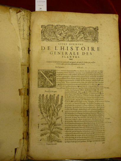 DALECHAMPS Jacques Histoire générale des plantes contenant XVIII livres ... faite...
