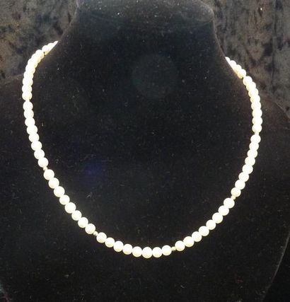 null PETIT COLLIER de perles de culture blanches choker, le fermoir en argent. Diamètre...