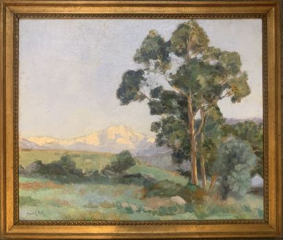 null Marcel ROLL (1881-1927)
Chaîne de montagnes
Huile sur toile, signée en bas à...