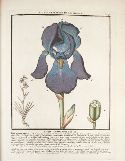 null BULLIARD (Pierre). Herbier de la France, ou Collection complette des plantes...