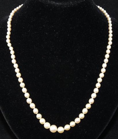 null COLLIER de perles de culture blanches en chute et deux fausses perles. Le fermoir...