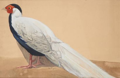 Georges MANZANA-PISSARRO (1871-1961) Oiseau Gouache sur papier Signé en bas au milieu...