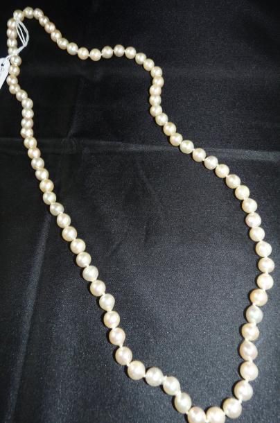 null Collier de perles de culture blanches choker, sans fermoir. Hauteur: 35 cm