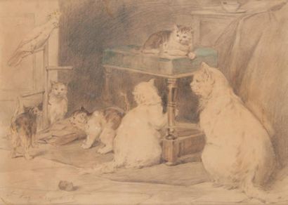 LAMBERT Louis Eugène (1825-1900) Chats au perroquet Mine de plomb et rehaut d'aquarelle...