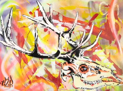 EZP (1970) Cosmic Deer Skull, 2013 Technique mixte sur toile, signée en bas à droite....