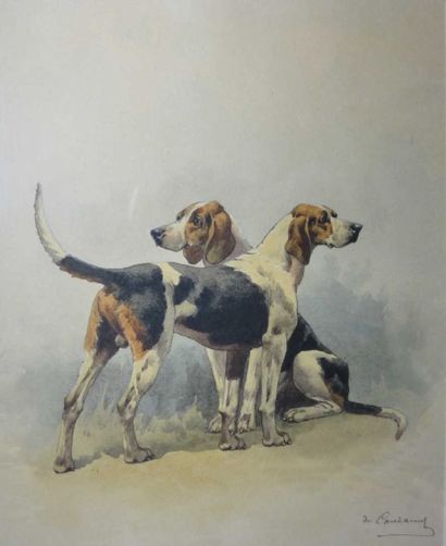 Charles CONDAMY (Gamaches 1847 - 1913) Deux chiens de chasse Plume, lavis gris et...