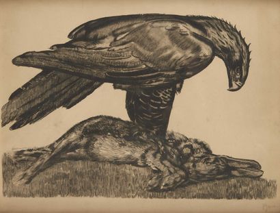 Paul JOUVE dans le goût de " Aigle enserrant un lièvre ", 1930. Eau-forte sur papier....