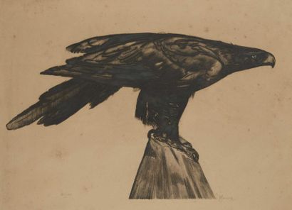 Paul JOUVE (1880-1973) "Aigle", 1930. Eau-forte sur papier. Signée et numérotée 61/100....