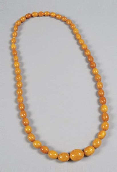 null Collier en ambre jaune composé de cinquante et une perles