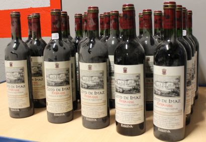 null 23 bouteilles Coto de Imaz Rioja 1995 et 7 bouteilles 1996