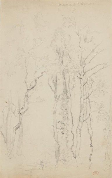 Paul HUET (Paris 1803 - 1869) Paysage aux grands arbres
Crayon noir 39 x 25 cm
Titré...