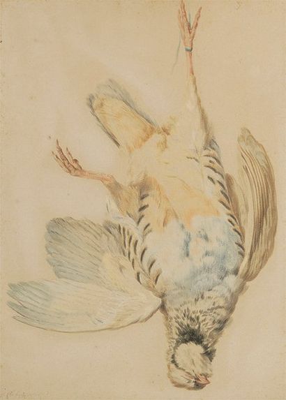 Jean-Baptiste Huet (Paris 1745 - 1811) Une perdrix Pastel. Porte une étiquette au...