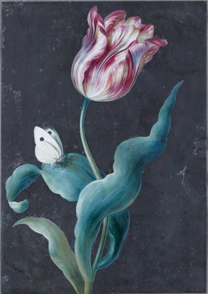 Christoph Ludwig AGRICOLA (Ratisbonne 1667 - 1719) Tulipe et papillon Gouache 27,5...