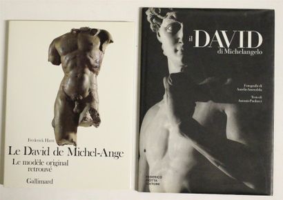 null Ensemble de deux ouvrages sur le David de Michel Ange : - Frederick HARTT, Le...
