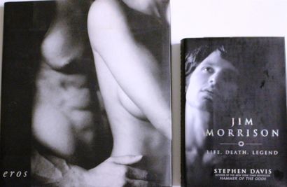 null Ensemble de deux livres : - Stephen DAVIS, Jim Morrison, Gotham Books, New York,...